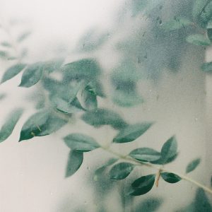 Where Light Remains — 03 | Where Light Remains