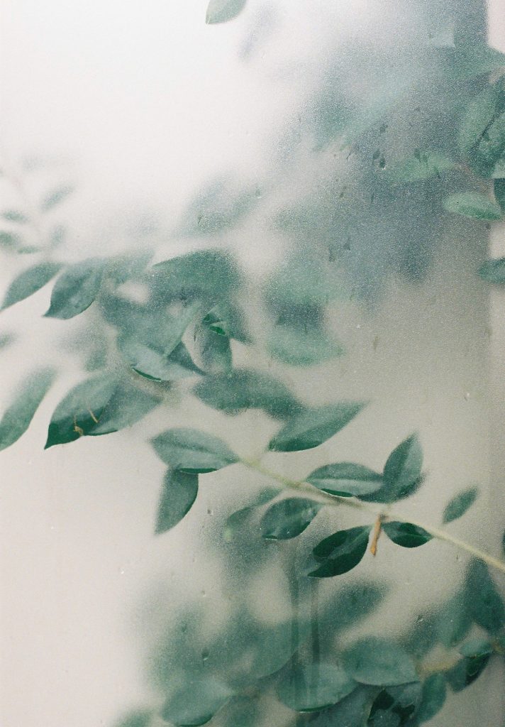 Where Light Remains — 03