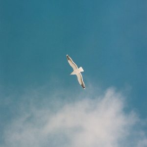 Where Light Remains — 06 | Where Light Remains