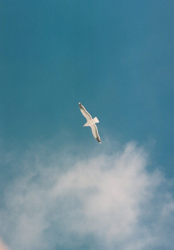 Where Light Remains — 06