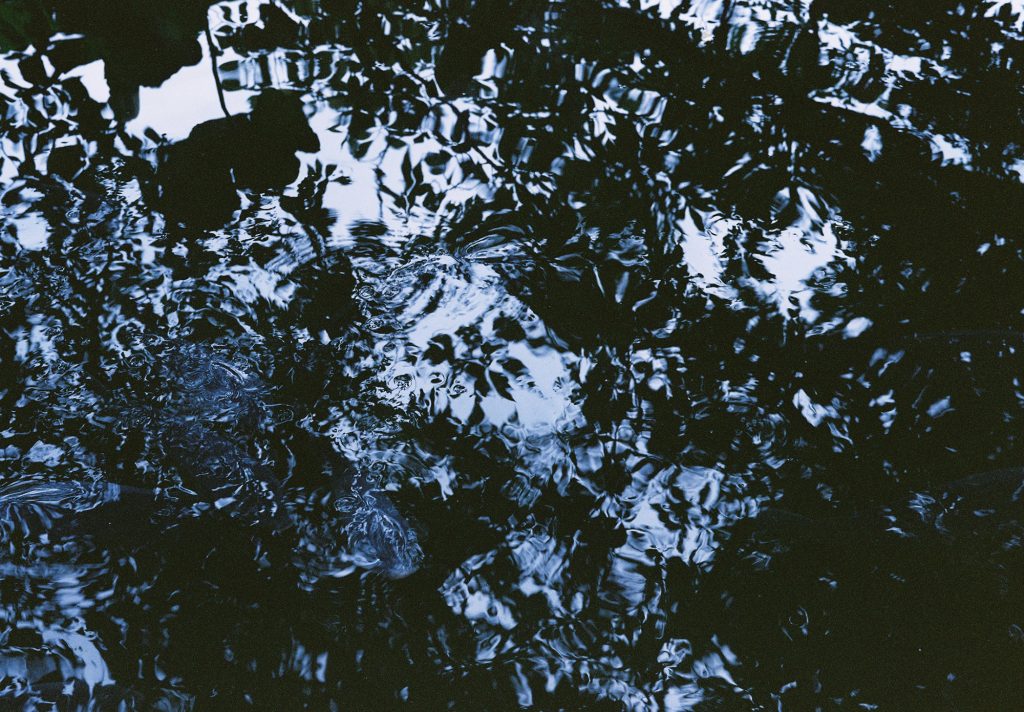 Where Light Remains — 08