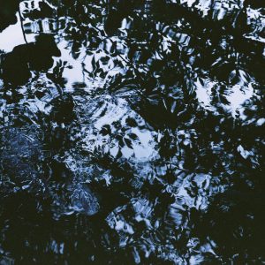 Where Light Remains — 08 | Where Light Remains