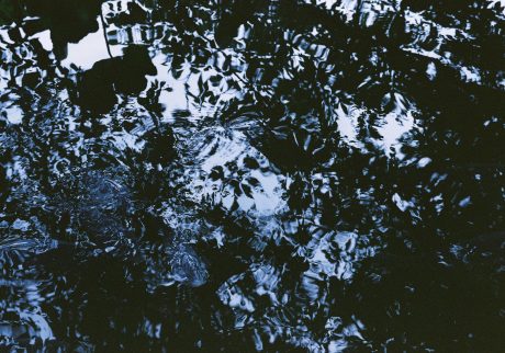 Where Light Remains — 08 | Where Light Remains