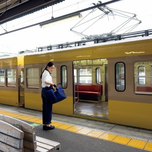 伊豆箱根鉄道駿豆線に乗って、静岡・三島へ。