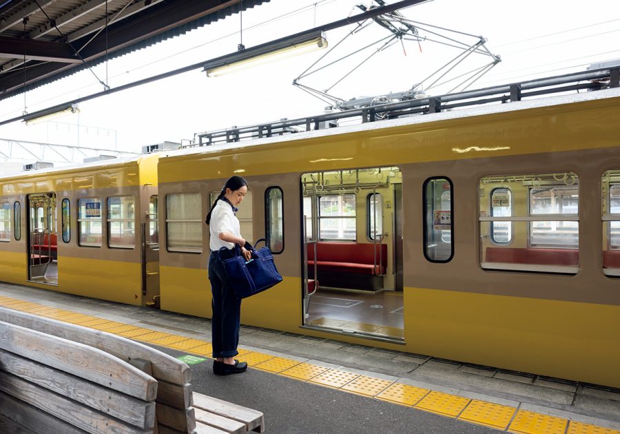 伊豆箱根鉄道駿豆線に乗って、静岡・三島へ。
