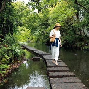 ”水の都”の顔を持つ静岡・三島、源兵衛川の散歩道を歩く。