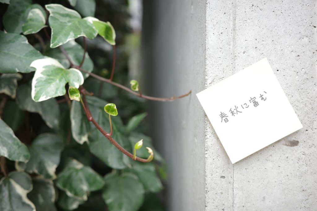 春秋に富む。日本の美しいことば。#1 写真と文：カン・ハンナ