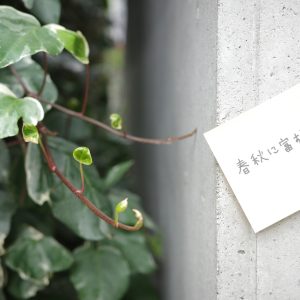 春秋に富む。日本の美しいことば。#1 写真と文：カン・ハンナ
