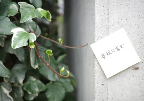 春秋に富む。日本の美しいことば。#1 写真と文：カン・ハンナ