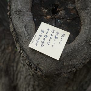 31文字で感情を詠む。日本の美しいことば。#2 写真と文：カン・ハンナ