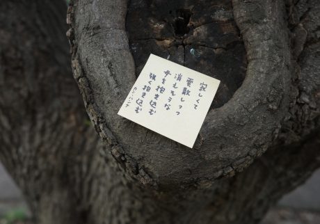 31文字で感情を詠む。日本の美しいことば。#2 写真と文：カン・ハンナ