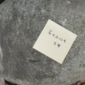 石の上にも三年。日本の美しいことば。#4  写真と文：カン・ハンナ