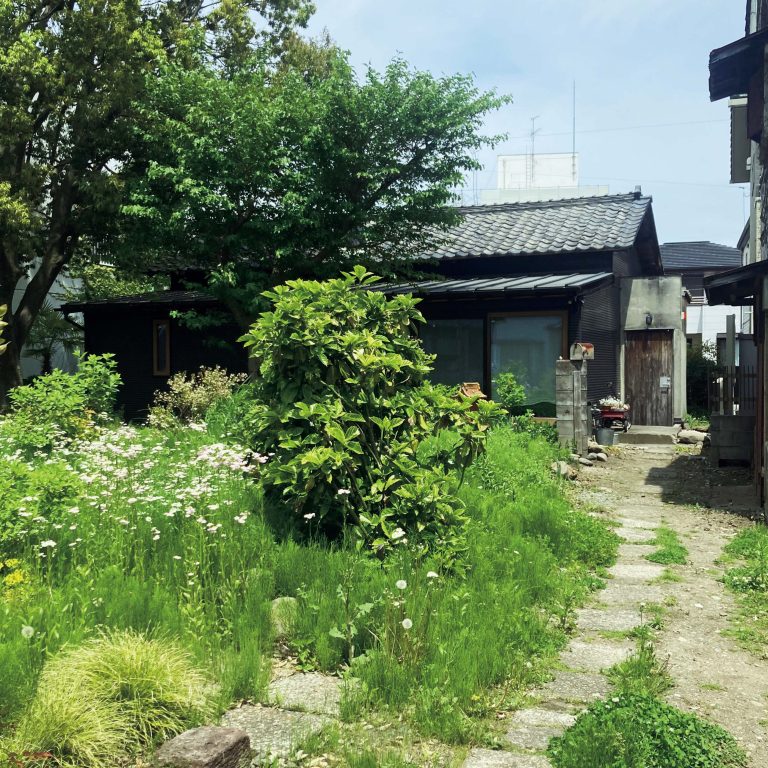 曲線』が教えてくれた、宮城県を歩くのが楽しくなる本「みちのく民話まんだら」。