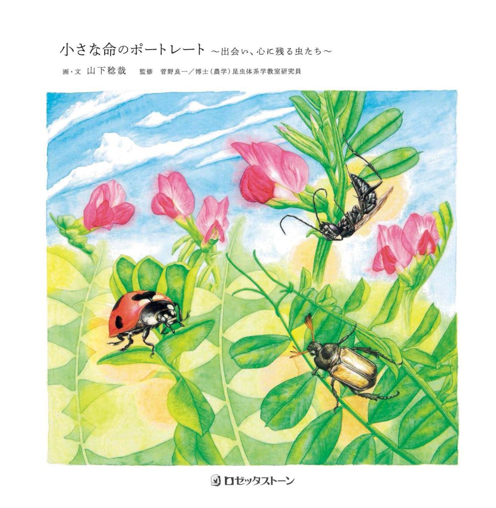『文鳥堂』が教えてくれた、山口県を歩くのが楽しくなる本「小さな命のポートレート～出会い、心に残る虫たち～」。山口の身近なところにいる四季の昆虫を描いた画文集。筆者が観察した昆虫の様子を、小さな命をいとしく思う気持ちを込めて描いた絵と文章で紹介。山口の恵まれた自然・魅力を知れる。