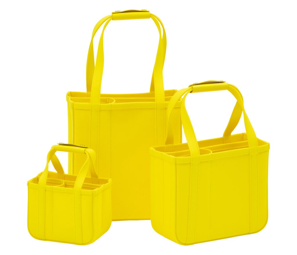 ELLSWORTH KELLY  ×  CHACOLI bag