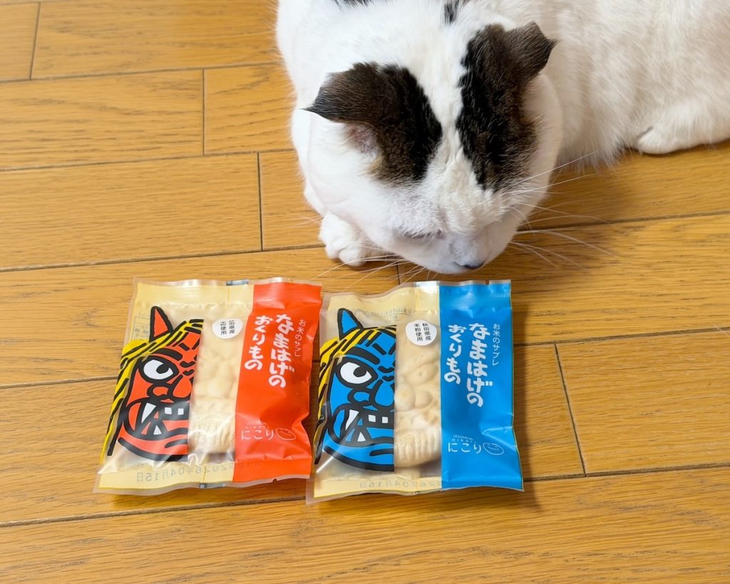 甘い匂いのなまはげさん?スコティッシュフォールド いなほ | また珍しいものをもらった飼い主。「なまはげのおくりもの」っていう名前らしい。 甘い匂いのなまはげさん?スコティッシュフォールド いなほ | また珍しいものをもらった飼い主。「なまはげのおくりもの」っていう名前らしい。
