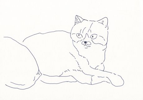イラストレーター 鳥屋 菜々子 のイラスト | Untitled