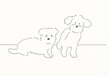 イラストレーター 鳥屋 菜々子 のイラスト | Untitled
