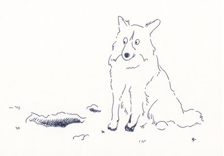 イラストレーター 鳥屋 菜々子 のイラスト | Untitled