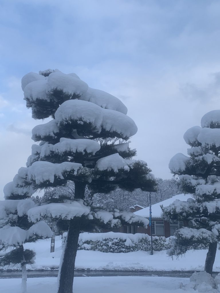 海、山、緑、大きい公園、おおらかに大の字で寝る。写真と文：笹本菜月（ガラス作家）#2 | 雪が降り積もる冬の景色。