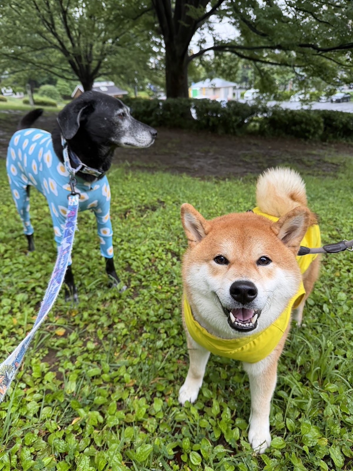 雨の日ミーティング。びしょびしょも楽しい朝です。