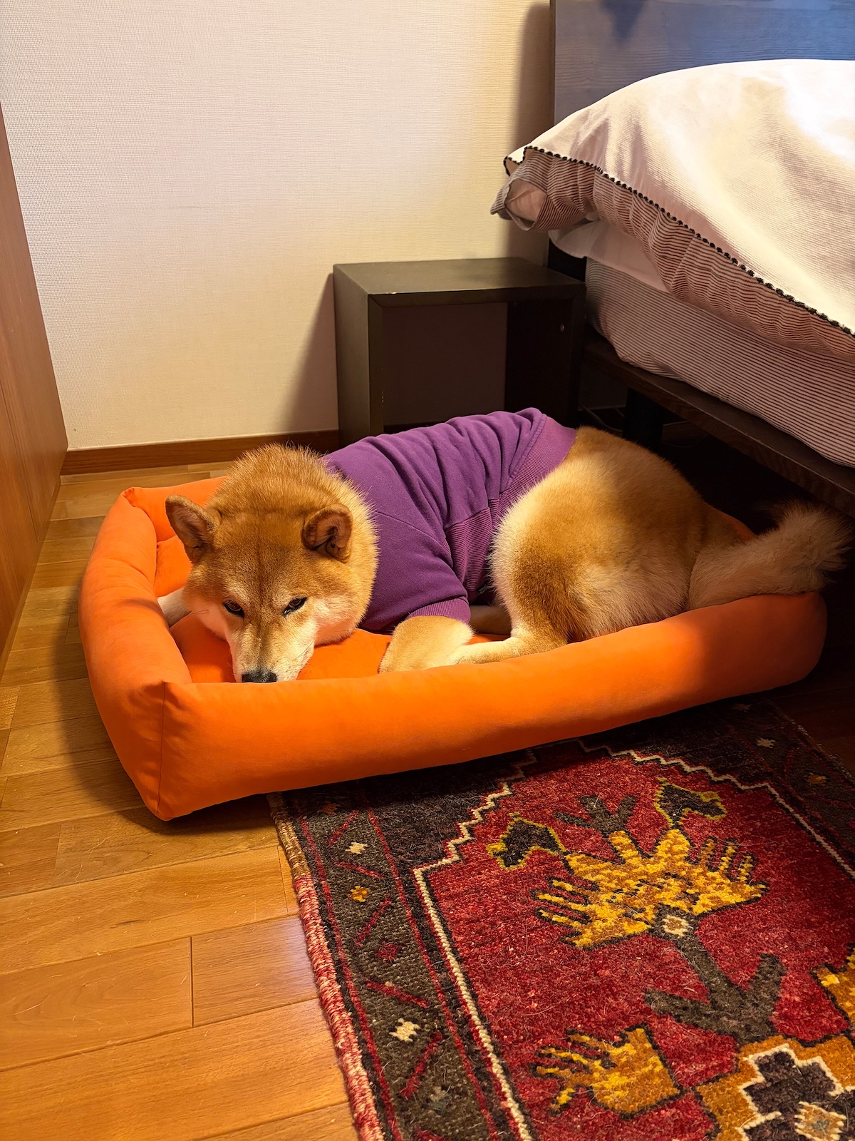 乗り気じゃない朝も、行けば楽しいのです。