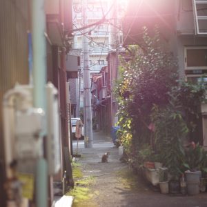 東京から離れ、新たな拠点を探す。前編 写真と文：溝口実穂（〈菓子屋ここのつ茶寮〉主宰）#2下町茶寮界隈の景色、夕日と猫。 | 『下町茶寮』界隈の景色、夕日と猫。