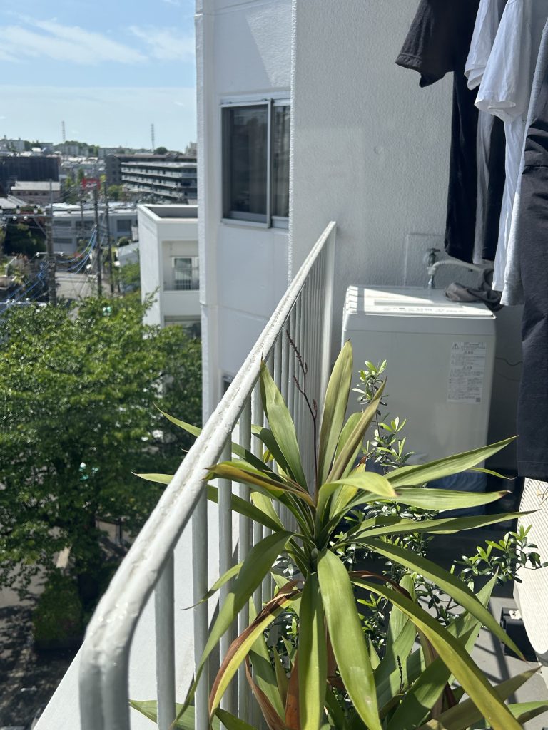 新居、たわいのない生活、上手く作れたら手放したくない。写真と文：笹本菜月（ガラス作家）#4