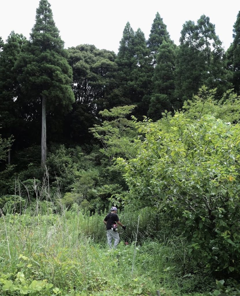 古民家再生と、里山生活。 写真と文：溝口実穂（〈菓子屋ここのつ茶寮〉主宰）#4草刈りに全力で協力してくれている優しい父。 | 草刈りに全力で協力してくれている優しい父。