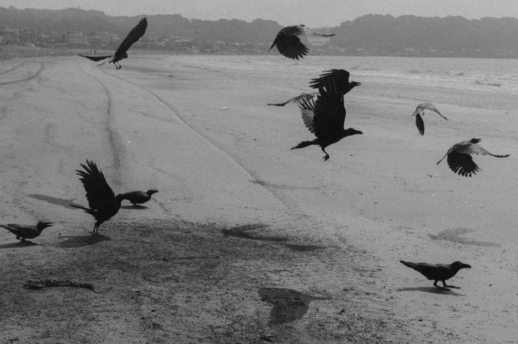 写真家・原田教正が探る、「写真と時間」の新たな関係。写真展「The Meeting of Two Eyes」が、京都・岡崎『風光 huko』にて開催。