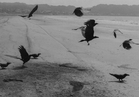写真家・原田教正が探る、「写真と時間」の新たな関係。写真展「The Meeting of Two Eyes」が、京都・岡崎『風光 huko』にて開催。 | 〈The Meeting of Two Eyes〉 より ©️Kazumasa Harada