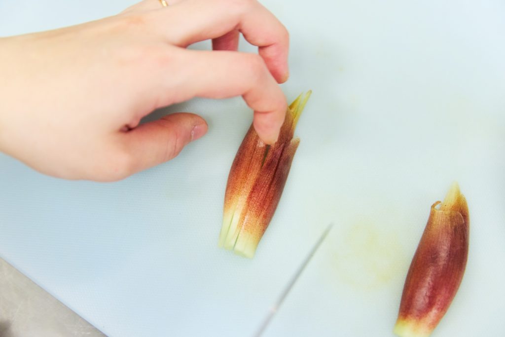 11 柚子胡椒からあげ & 夏野菜の香味からあげ/おべんと屋さん〈75foods〉吉森なな子のレシピ帖 #19 | みょうがは半分に割ったら縦に細切りして、みじん切りにしていきます。 11 柚子胡椒からあげ & 夏野菜の香味からあげ/おべんと屋さん〈75foods〉吉森なな子のレシピ帖 #19 | みょうがは半分に割ったら縦に細切りして、みじん切りにしていきます。