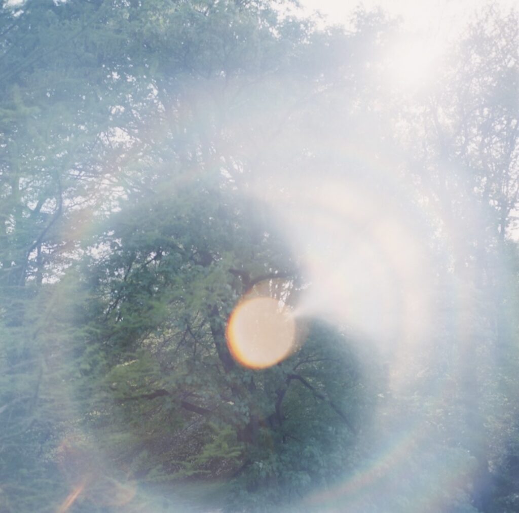 © Rinko Kawauchi写真と詩が重なり合う心地よい空間。川内倫子さんによる『いまここ』写真展が、栃木・益子の『スターネット ゾーン』で開催。 | © Rinko Kawauchi