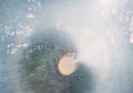 © Rinko Kawauchi写真と詩が重なり合う心地よい空間。川内倫子さんによる『いまここ』写真展が、栃木・益子の『スターネット ゾーン』で開催。 | © Rinko Kawauchi