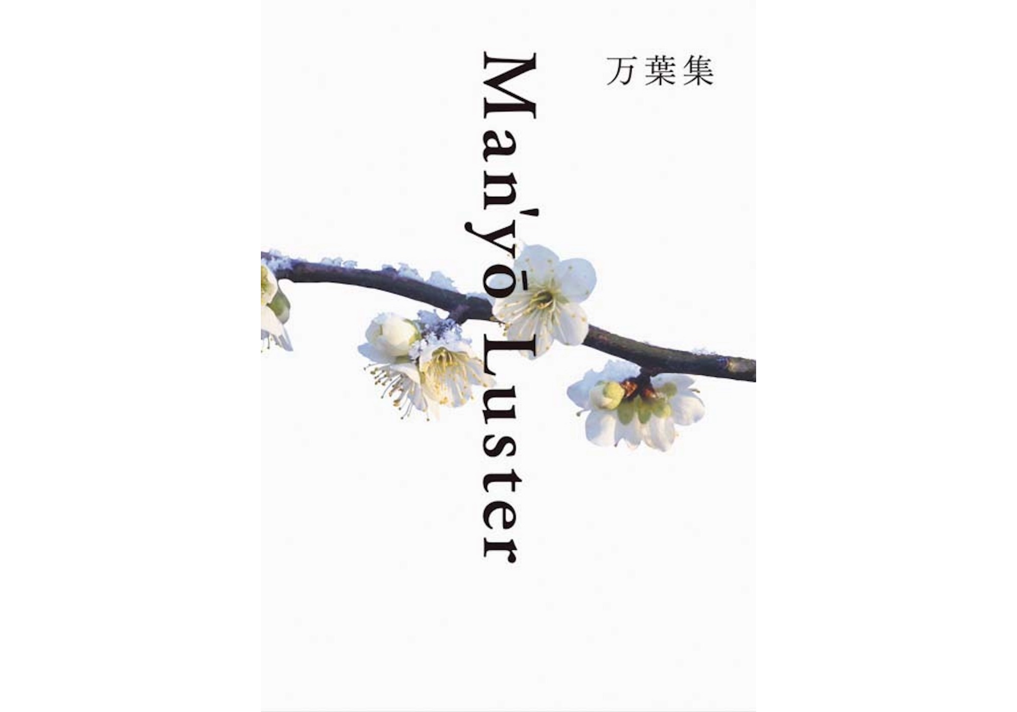 『本屋とほん』が教えてくれた、奈良県を歩くのが楽しくなる本『万葉集 新装版』。