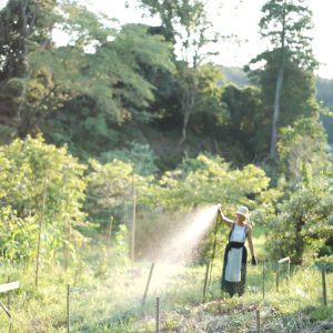 溝口実穂さんプロフィール