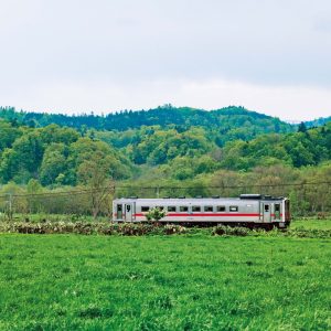 宗谷本線 | 旭川駅と稚内駅を結ぶ宗谷本線。普通列車は1両編成。草原のなかを走っていく。