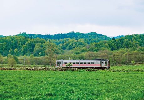 宗谷本線 | 旭川駅と稚内駅を結ぶ宗谷本線。普通列車は1両編成。草原のなかを走っていく。