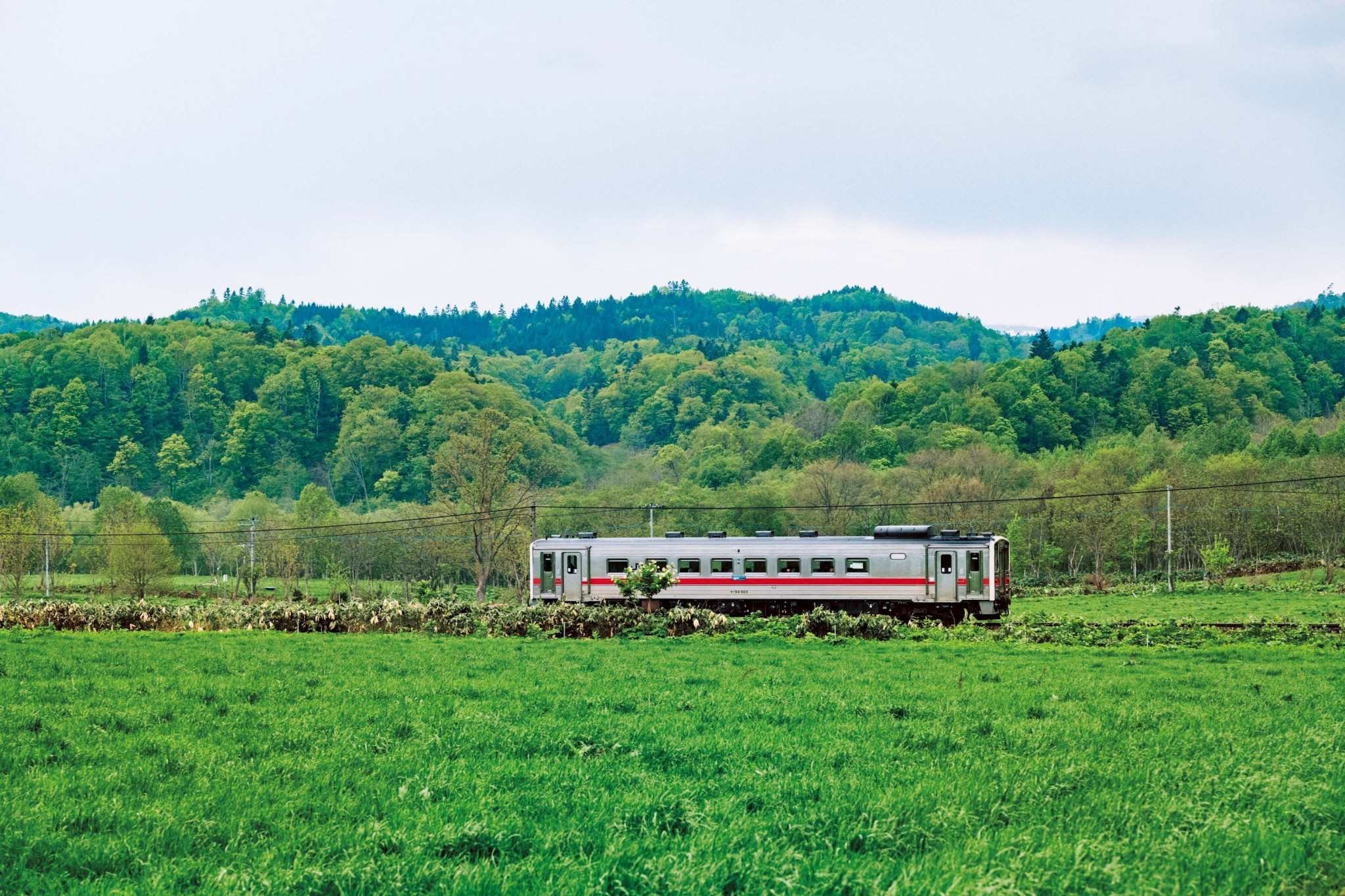 北海道・美深町で出合った、本の世界を堪能する12のスポット。
