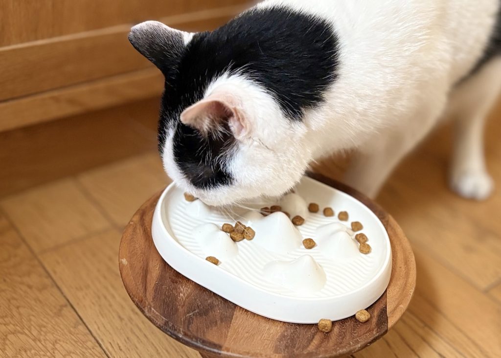 早食い対策の効果はいかに!保護猫 えいた 早食い対策の効果はいかに!保護猫 えいた
