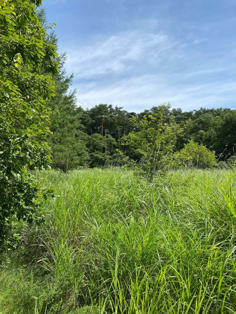 軽井沢での土地探し。写真と文：湯本隆（『NICEFOLKS』オーナー）#1