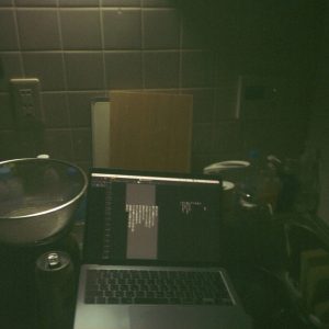 どうすれば納得いく詩が書けるかと気が狂いかけ、気がつくと台所で書いていた。