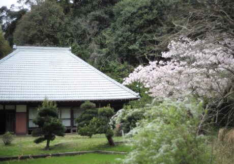 ついに!!! 運命の出会い。みつかったー!理想の物件に出合うまで。後編 写真と文:溝口実穂(〈菓子屋ここのつ茶寮〉主宰)#3 | ついに!!! 運命の出会い。みつかったー! ついに!!! 運命の出会い。みつかったー!理想の物件に出合うまで。後編 写真と文:溝口実穂(〈菓子屋ここのつ茶寮〉主宰)#3 | ついに!!! 運命の出会い。みつかったー!