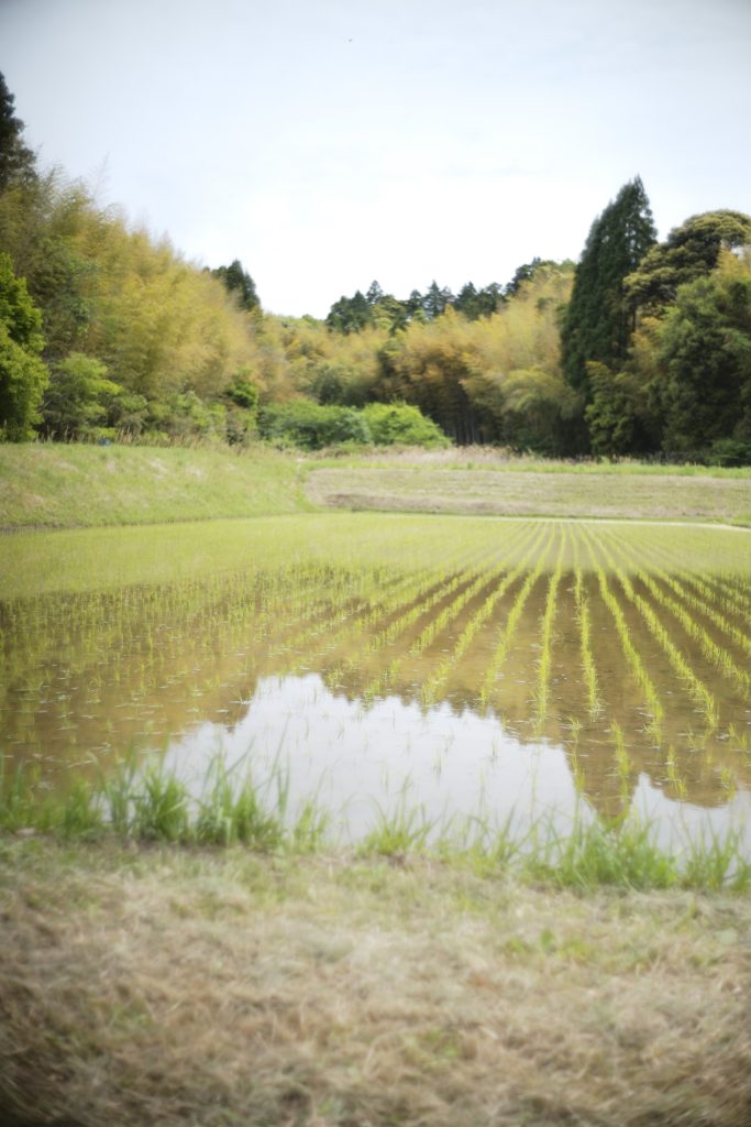 里山や界隈の美しい景色。空気が本当に美味しい。理想の物件に出合うまで。後編 写真と文：溝口実穂（〈菓子屋ここのつ茶寮〉主宰）#3 | 里山と界隈の美しい景色。空気が本当に美味しい。