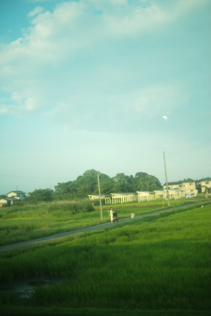 物件探し中に車窓から見えた景色。理想の物件に出合うまで。後編 写真と文：溝口実穂（〈菓子屋ここのつ茶寮〉主宰）#3 | 物件探し中に車窓から見えた景色。