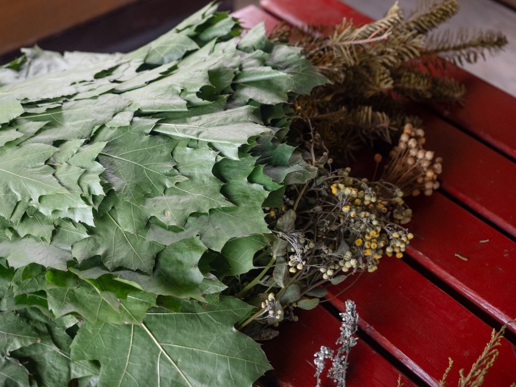 森で摘んできた植物。 | サウナ師のビルテさんが朝、森で摘んできた植物。
