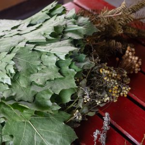 森で摘んできた植物。 | サウナ師のビルテさんが朝、森で摘んできた植物。