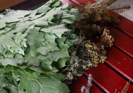 森で摘んできた植物。 | サウナ師のビルテさんが朝、森で摘んできた植物。