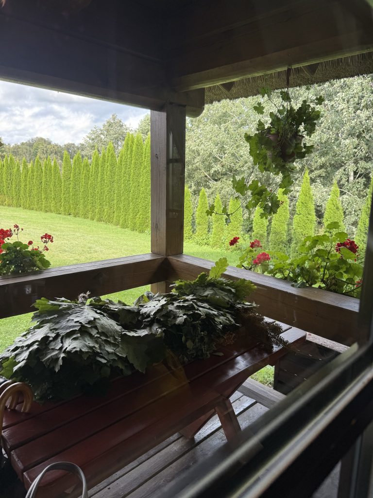 サウナ小屋の外に広がる芝生 | サウナ小屋の外には芝生が広がっていた。