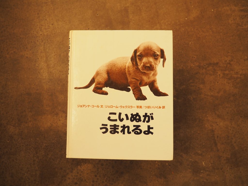 20代のときに、私の生き方を変えた本。『こいぬがうまれるよ』／長野・上諏訪『生活と芸術の本 言事堂』 が届けるベターライフブックス。